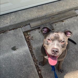 Meet your Posher, Seth